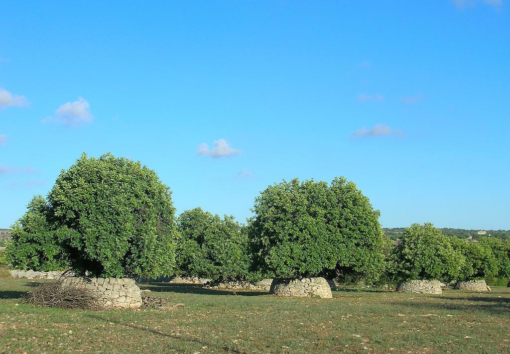 Casa Vacanze Sogno Siciliano Santa Croce Camerina Dış mekan fotoğraf